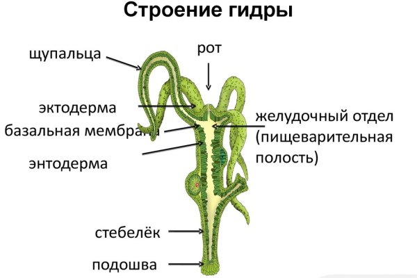 Что за приложение кракен