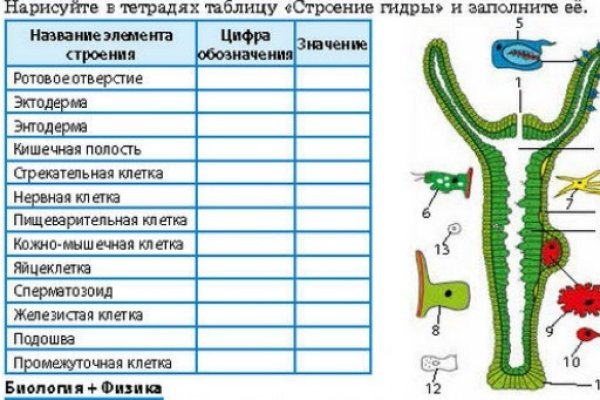 Как зайти на кракен kr2web in