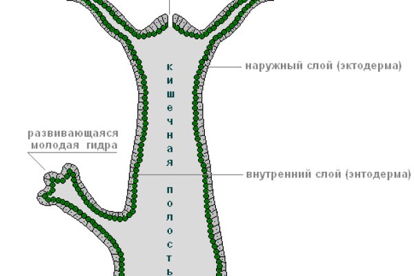 Как попасть на сайт кракен