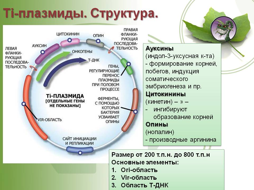 Не могу зайти на кракен