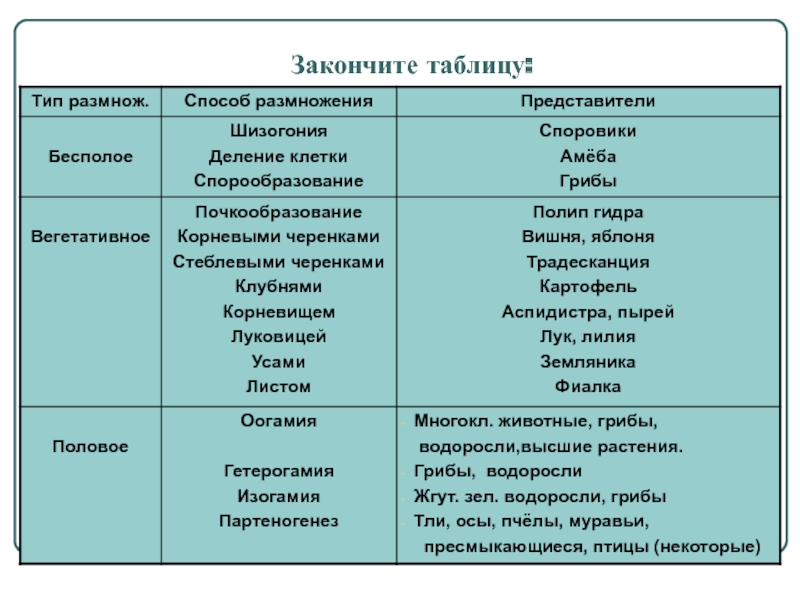 Кракен пишет пользователь не найден