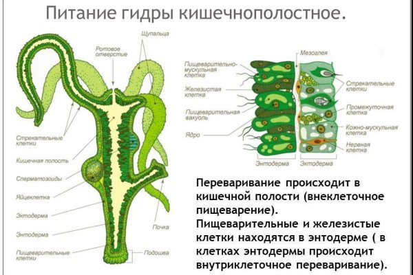 Кракен тор ссылка магазин