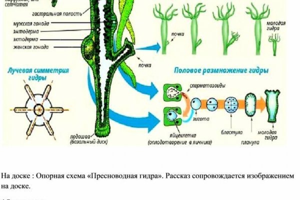 Кракен даркнет аккаунт