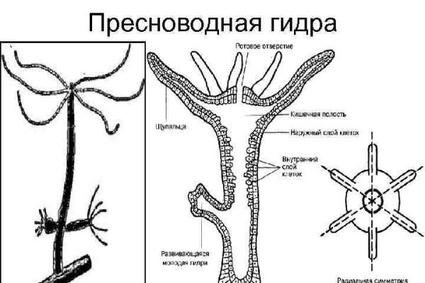 Скачать кракен тор