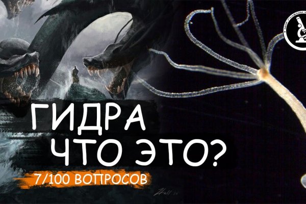 Kraken зеркала kr2web in