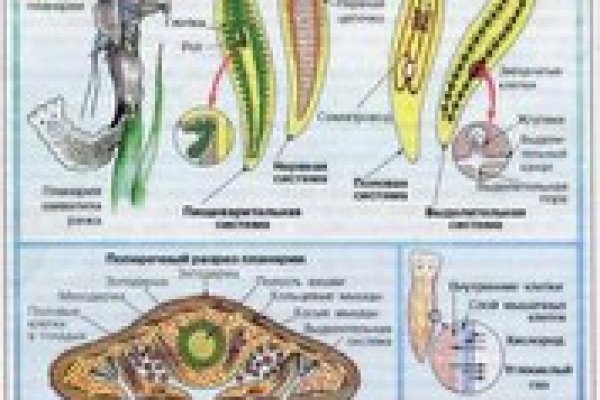 Как зарегистрироваться на кракене маркетплейс